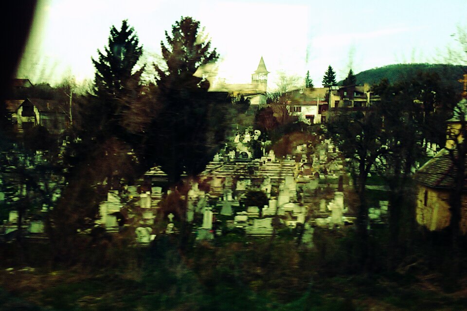 view with a grave